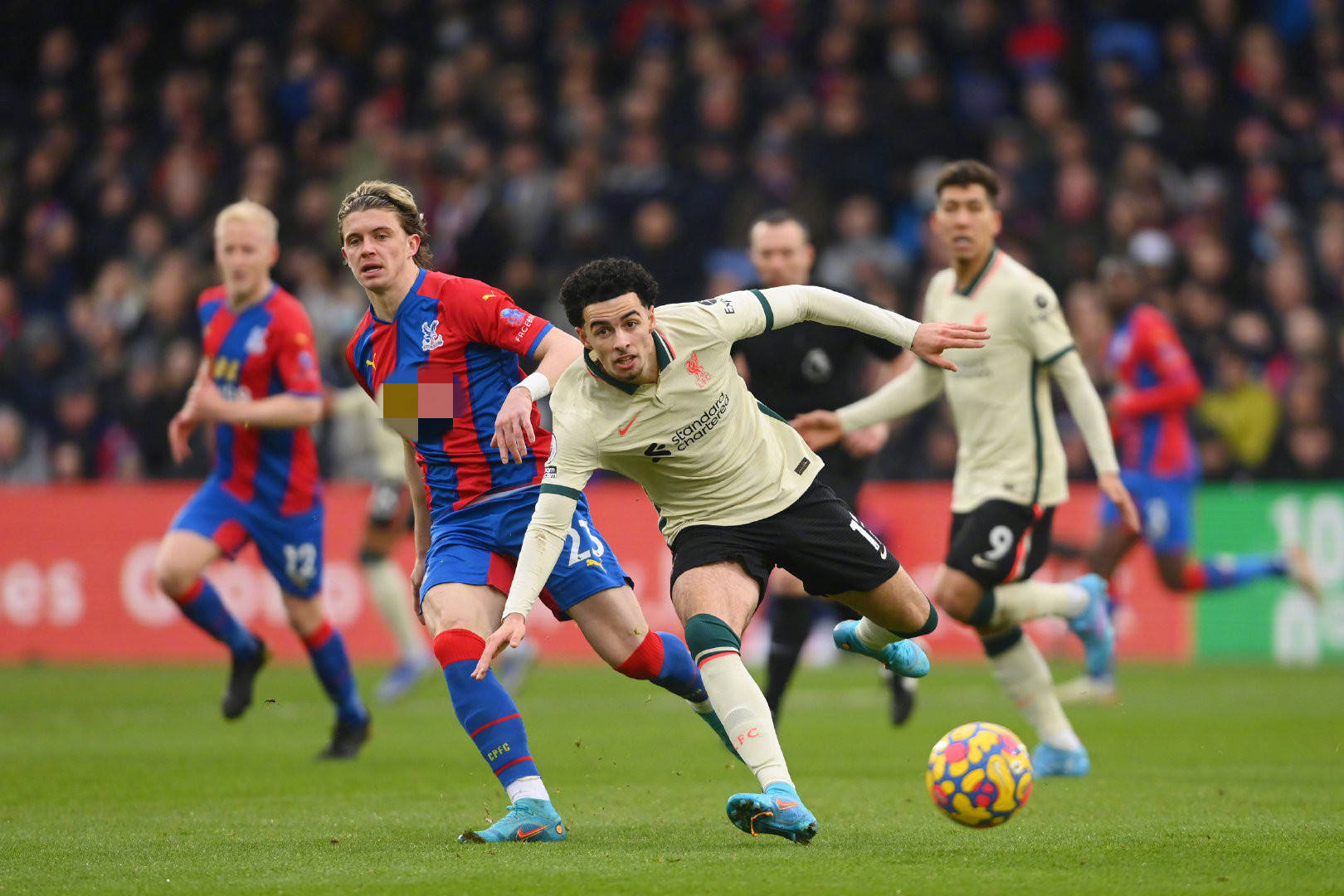 顺也将同场 顺也将同场